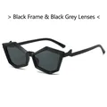 Polygonale geometrische Sonnenbrille mit schwarzem Rahmen und dunkelgrauen Gläsern - Normal / Schwarzer Rahmen Schwarz Graue Gläser