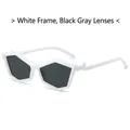 Modern polygon sunglasses featuring a white geometric frame and dark grey polarized lenses - Regular / White Frame Dark Grey Lens