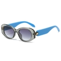 Oval beetle sunglasses with blue temples and gold snake detail on gray frames - Grey Frame Grey Lens