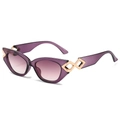 Cat-Eye-Sonnenbrille mit lila transparentem Rahmen und goldenen Metalldetails am Bügel - Normal / Regulär (inkl. 13 % MwSt.) Violettes Gestell Violette Gläser