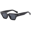 Gafas de sol cuadradas de montura gruesa negra con remaches plateados y lentes oscuros - Montura Negro Brillante Lentes Grises