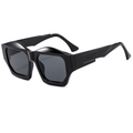Polygonal irregular sunglasses with thick black geometric frames and dark grey lenses - Regular / Bright Black Frame Grey Lens