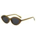 Retro cat-eye sunglasses with translucent green frame and dark lenses for women - Green Frame Grey Lens