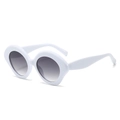 Retro oval sunglasses featuring a bold white thick frame and grey gradient lenses - Regular / White Frame with Double Grey Lenses (Incl. 13% VAT)
