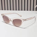 Pink cat-eye sunglasses with transparent resin frame and brown gradient lenses - Regular / Standard Champagne Frame with Gradient Tea Lenses