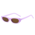 Gafas de sol ovaladas lavanda retro con lentes marrón oscuro y montura estrecha Y2K - Montura Morada Lente Té