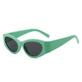 Occhiali da sole cat eye retrò con montatura verde menta spessa e lenti scure - Montatura Verde Lenti Grigie