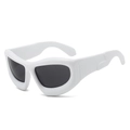 Lunettes de soleil Y2K enveloppantes avec monture blanc brillant et verres gris foncé - Standard / Régulier (incl. TVA 13 %) monture blanche verres gris