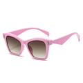 Occhiali da sole cat-eye rosa con lenti sfumate e dettagli metallici a forma di U - Regolare / Montatura Rosa Lente Tè