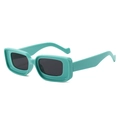 Retro rectangle sunglasses with thick mint green frame and dark tinted lenses - Green Frame Grey Lens
