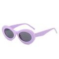 Retro oval sunglasses with thick lavender frames and dark lenses on white background - Regular / Standard (Incl. 13% Tax) Purple Frame / Grey Lenses