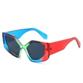 Cat eye sunglasses with colorful rainbow gradient frames and dark lenses - Regular / Standard (Incl. 13% VAT) Blue Green Red Frame Grey Lenses