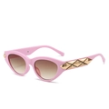 Occhiali da sole cat eye rosa con lenti sfumate marroni e dettagli dorati sulle aste - Regolare / Montatura Rosa Lenti Tè