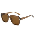 Square beige and coffee sunglasses with transparent resin frame and metal rivets - Dark Tea Frame Tea Lens