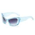 Cat eye sunglasses in light blue translucent frame with glitter finish and gradient lenses - Regular / Standard (Incl. 13% Tax) Blue Frame / Double Grey Lenses
