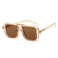 Fashionable double-bridge square sunglasses in transparent champagne and brown lenses - Champagne Frame Double Tea Lens