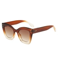 Cat eye sunglasses featuring brown gradient frames with amber tortoiseshell patterns - Tea Frame Gradient Tea Lens