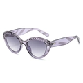 Occhiali da sole cat-eye viola alla moda con borchie e lenti grigie sfumate - Regolare / Montatura a Righe Viola Lenti Doppie Grigie