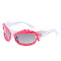 Lunettes Y2K futuristes blanches avec monture rose torsadée et verres gris foncé - Standard / Standard monture blanche verres gris (cercles rose rouge)