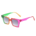 Rainbow gradient square sunglasses with dopamine color resin frames for a hip-hop style - Regular / Rainbow Frame Gradient Grey Lens