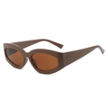Occhiali da sole retrò cat-eye con montatura marrone e lenti scure fulve - Montatura Tè Lenti Tè