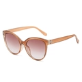 Fashionable cat eye sunglasses with transparent brown frame and gradient lenses - Regular / Regular (Inc. 13% VAT) Tea Translucent Frame & Tea Lenses