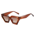Retro geometric cat eye sunglasses featuring thick tea-colored frames and gradient lenses - Regular / Tea Frame Gradient Tea Lens