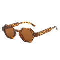 Chic tortoiseshell hexagonal sunglasses with brown lenses in a 45-degree side view - Regular / Leopard Frame Brown Lens