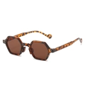 Retro polygon sunglasses with leopard print frames and dark brown lenses for women - Regular / Leopard Frame Brown Lens