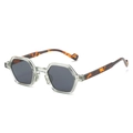 Polygonal sunglasses with transparent grey frame and tortoiseshell patterned temples - Regular / Grey Frame Grey Lens