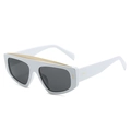 Oversize white frame sunglasses with gold top bar accent and dark tinted lenses - Regular / Standard (Incl. 13% VAT Invoice) White Frame Full Gray Lenses