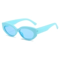 Retro cat-eye sunglasses featuring light blue plastic frame and matching tinted lenses - Regular / Blue Frame / Blue Lens