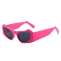 Fashionable hot pink cat eye sunglasses with bold geometric frame and dark grey lenses - Regular / Standard (Incl. 13% VAT) Rose Red Frame with Gray Lenses