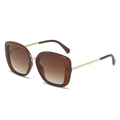 Fashionable square sunglasses with brown transparent frames and golden metal temples - Tea Frame Gradient Tea Lens