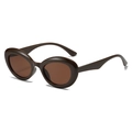 Gafas de sol ovales vintage con montura gruesa de plástico marrón y lentes teñidas Y2K - Montura Marrón Lente Marrón Oscuro