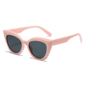Occhiali da sole cat-eye rosa alla moda con lenti scure e rivetti dorati - Regolare / Montatura Rosa Lente Grigia