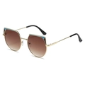 Occhiali da sole irregolari cat-eye con montatura in metallo dorato e lenti sfumate - Regolare / Montatura Oro Lenti Sfumate Tè