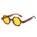 Lunettes de soleil polygonales en écaille avec verres jaunes vue de profil - Standard / Standard (TVA 13 % incluse) Monture léopard / Verres jaunes