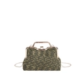 Elegant olive leopard pattern chain crossbody bag with golden frame and metallic handle - Green