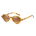Geometric tortoise shell sunglasses with retro hexagonal frame and brown gradient lenses - Leopard Frame Gradient Brown Lens