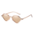 Geometric hexagon sunglasses with transparent champagne frames and tinted brown lenses - Regular / Standard (incl. 13% Tax) Champagne Frame Brown Lenses