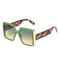 Square green sunglasses with gold accents and leopard print tortoiseshell temples - New Style / Standard (Incl. 13% VAT) Green Frame Green Yellow Lenses