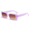Gafas de sol rectangulares retro con montura morada clara y lentes de color degradado - Marco Púrpura Gelatina Lentes de Té Doble