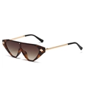 Fashion small frame tortoise sunglasses with gold arrow detail and gradient lenses - Leopard Frame Gradient Brown Lens
