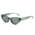 Retro geometric cat eye sunglasses in transparent green with silver temple accents - Green Frame Grey Lens