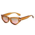 Lunettes de soleil œil-de-chat, monture ambre, verres dégradés roses et détail en T - Régulier (incl. 13 % TVA) monture marron verres thé rose