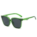 Occhiali da sole quadrati verde trasparente con lenti scure e rivetti metallici - Montatura Verde Lenti Grigie