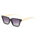 Square frame sunglasses with purple gradient lenses and elegant gold metal temples - Black Frame Double Gray Lens