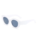 Chic cat eye sunglasses with thick white plastic frame and dark grey tinted lenses - White Frame Gray Lens