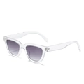 Fashion square sunglasses featuring a transparent frame and dark grey gradient lenses - Transparent Frame Double Grey Lens
